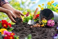 livre jardinage